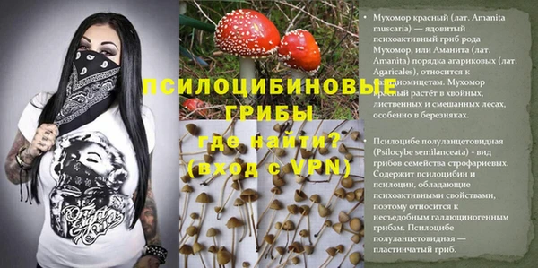 MDMA Premium VHQ Покровск