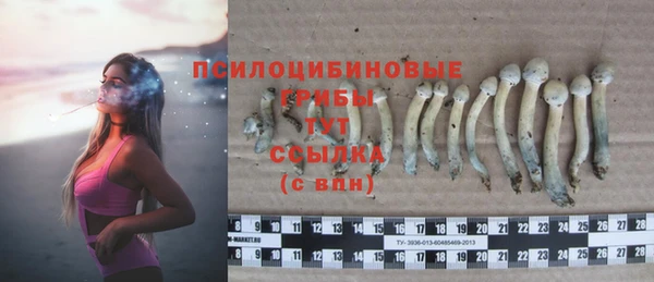 эйфоретик Покров