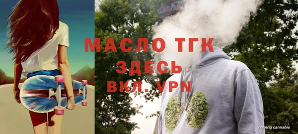 тгк Вяземский