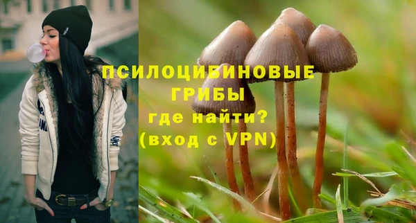 эйфоретик Покров