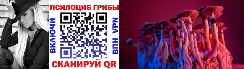 дарк нет состав  Вязьма  Галлюциногенные грибы GOLDEN TEACHER 