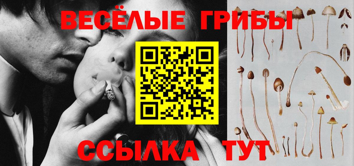 где можно купить   Вязьма  Псилоцибиновые грибы прущие грибы 