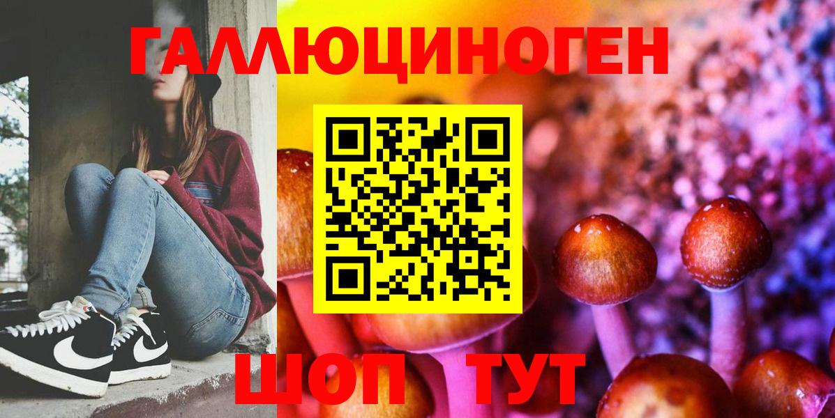Псилоцибиновые грибы Psilocybine cubensis  Вход с VPN  Вязьма 